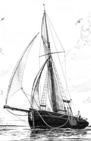 Sketch